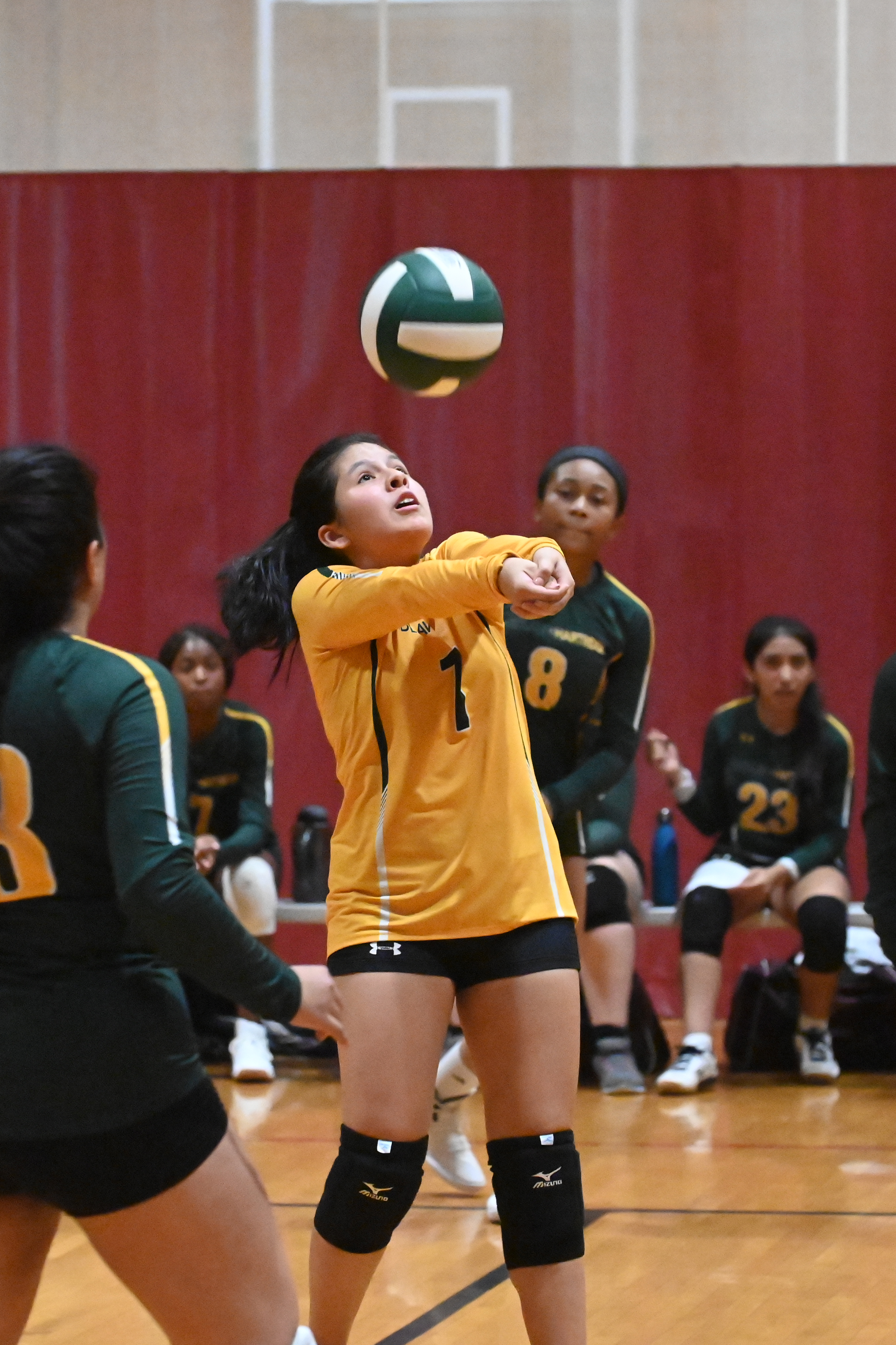 Volleyball